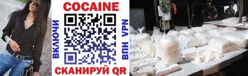 Купить закладки  Сысерть  Cocaine Fish Scale 