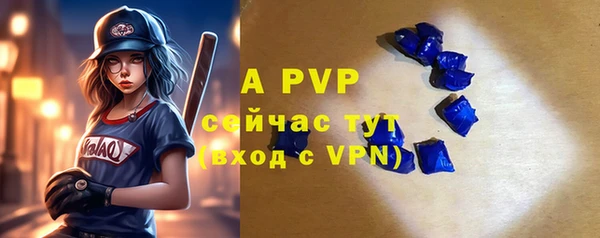 МДПВ Инсар