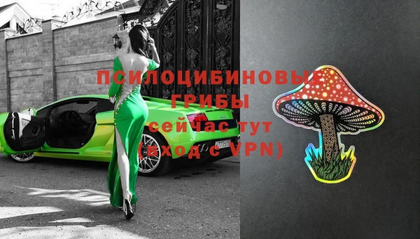 марки lsd Инта
