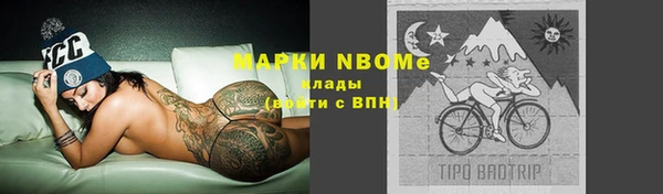 МДПВ Инсар