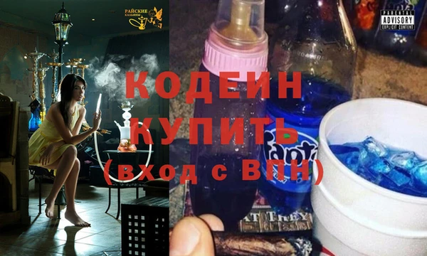 МДПВ Инсар