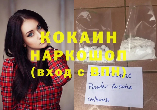 МДПВ Инсар