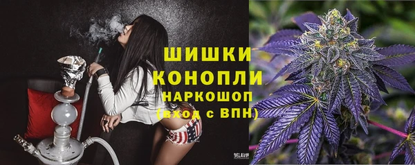 МДПВ Инсар