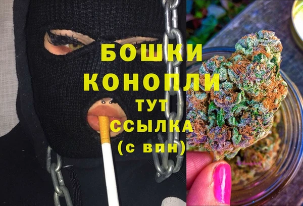 МДПВ Инсар