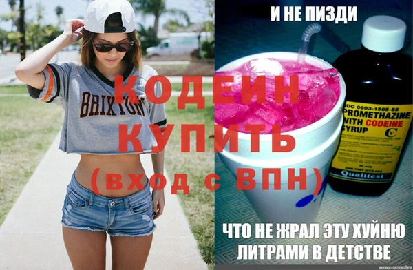 МДПВ Инсар