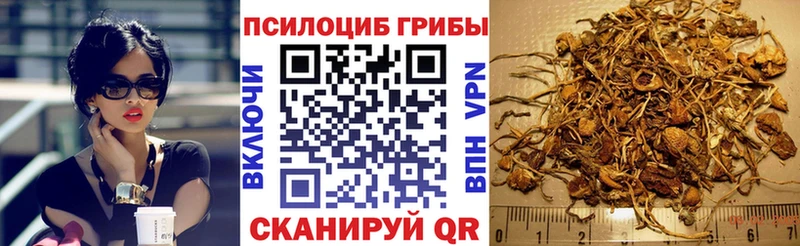 Купить где  Сысерть  Галлюциногенные грибы ЛСД 